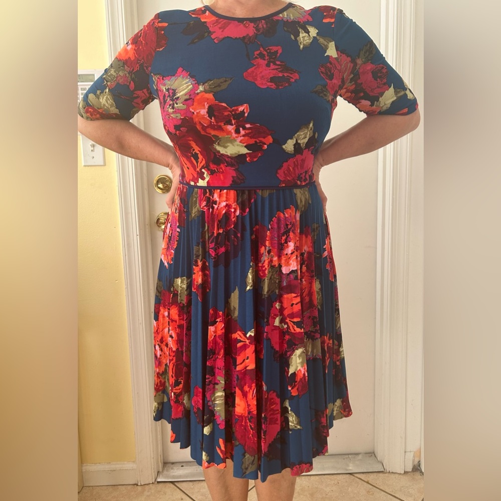 Women dress Maggy London